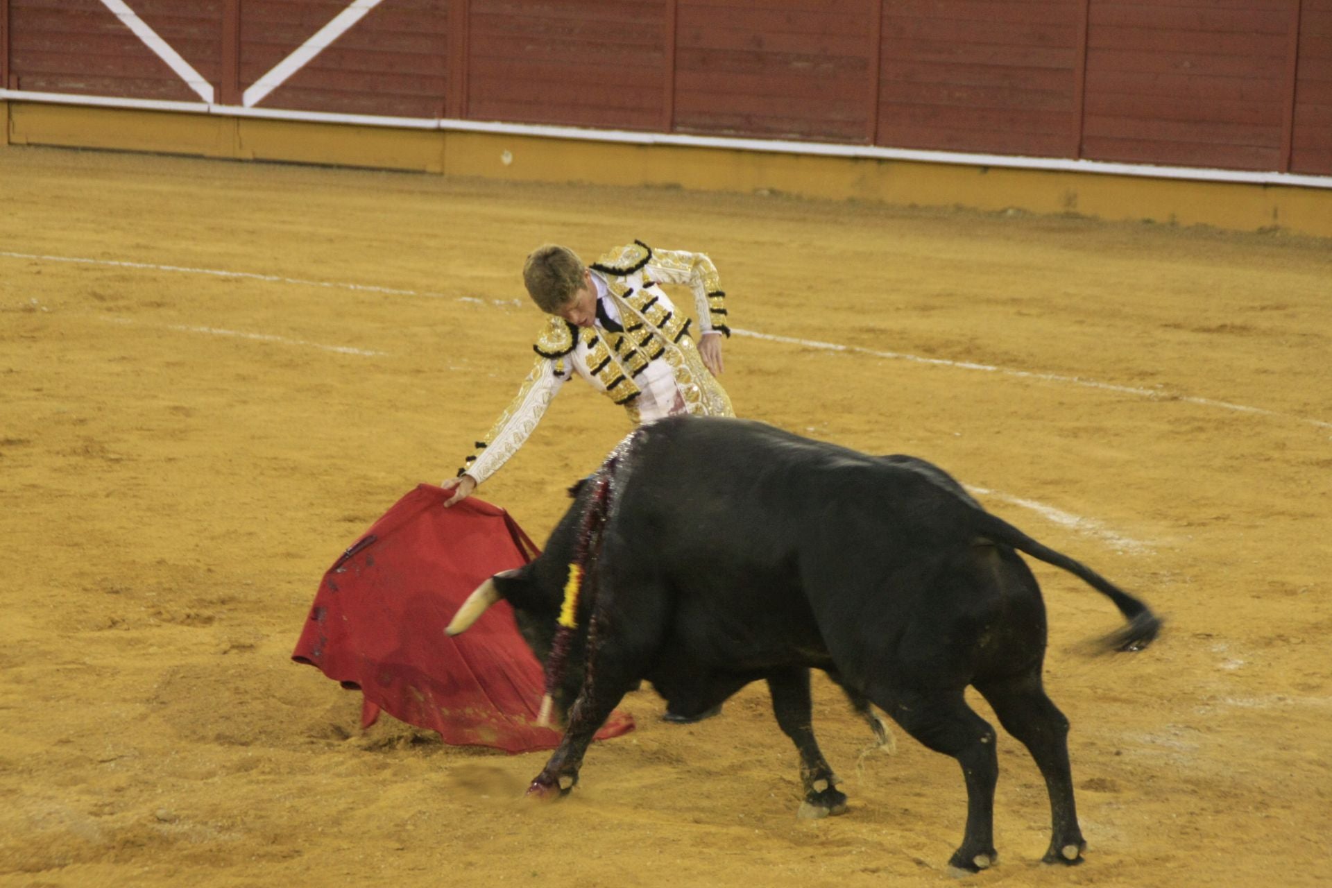 La gran corrida de toros de Priego, en imágenes