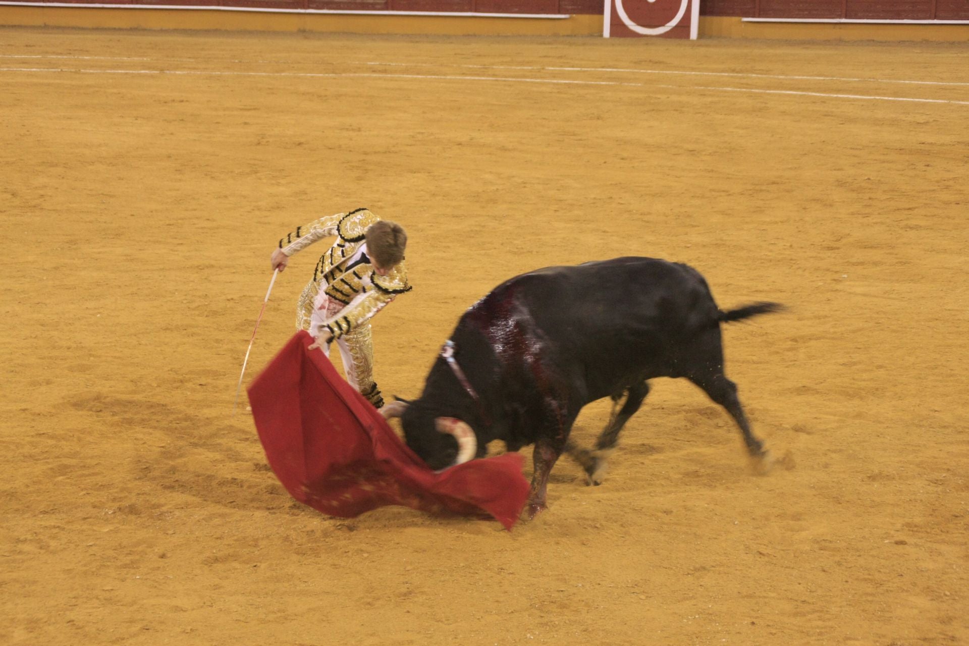 La gran corrida de toros de Priego, en imágenes