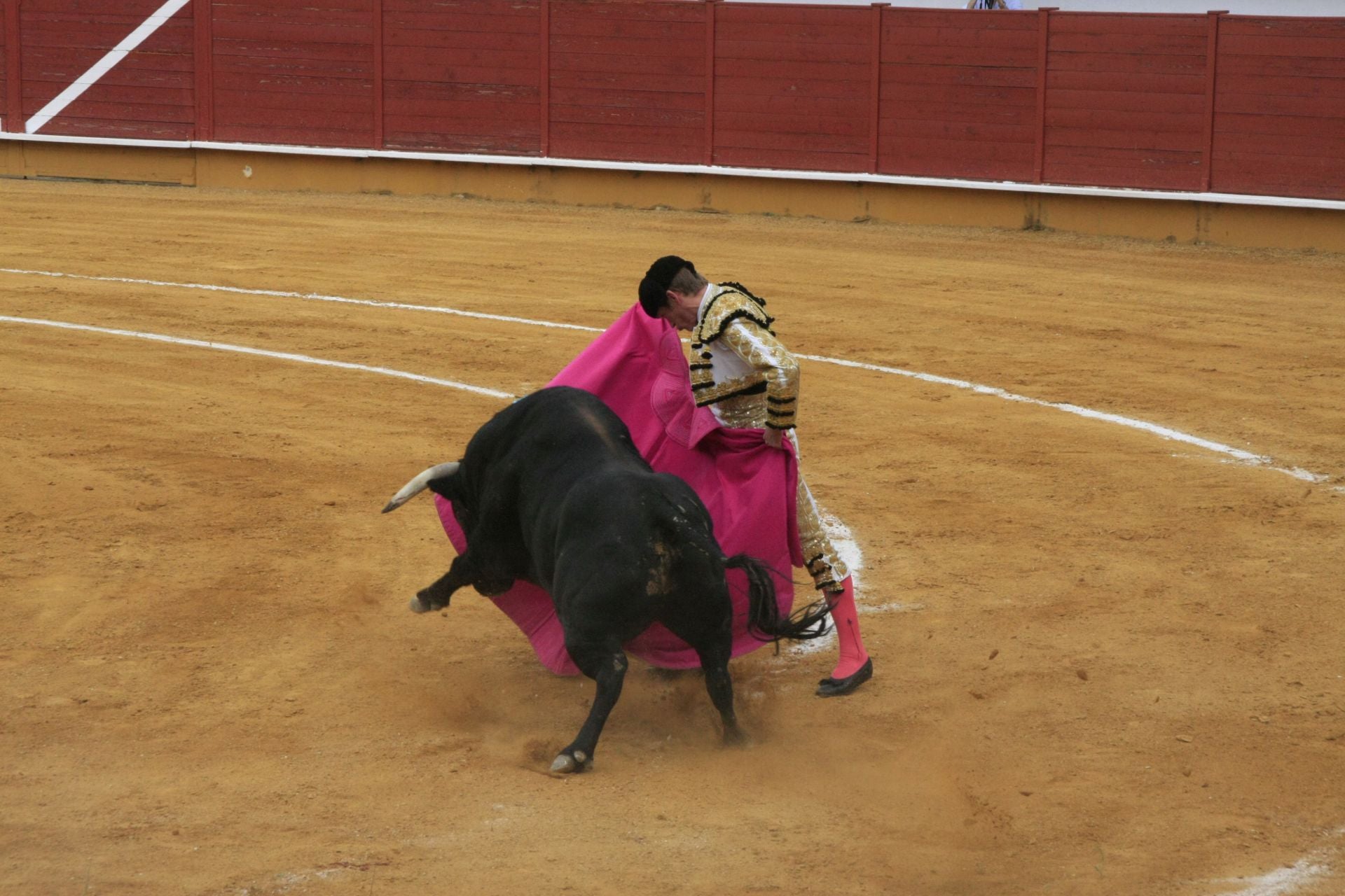 La gran corrida de toros de Priego, en imágenes