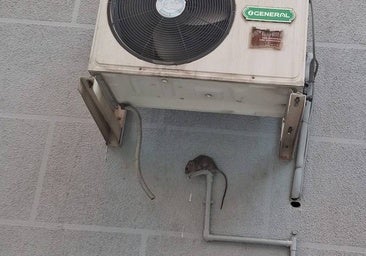 Los socialistas de Talavera denuncian que el alcalde señale a los vecinos como responsables de las ratas y la suciedad incrustada