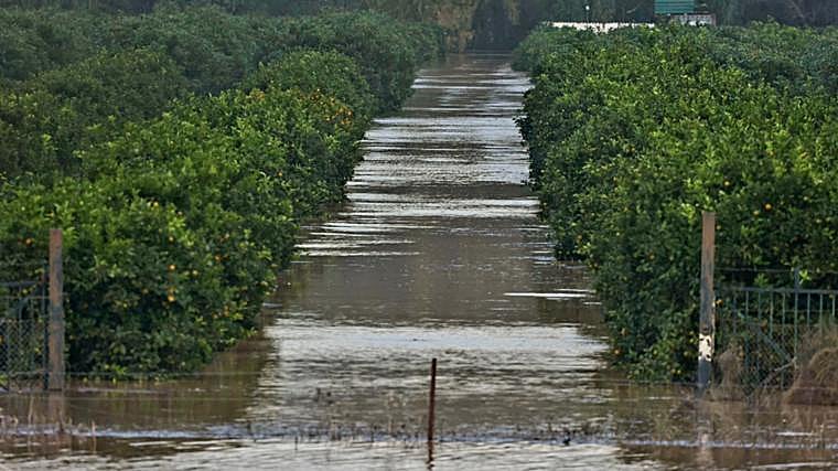 Campos de la pedanía anegados por el agua. A 14 de noviembre de 2024, en San Pablo de Bucite, Cádiz (Andalucía, España)