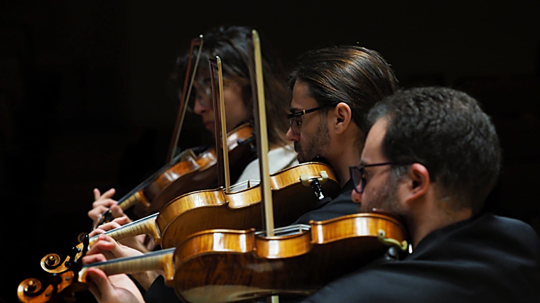 Camerata Musicalis Auditorio Nacional