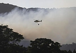 El 85% de los incendios en Andalucía se quedan en conatos de menos de un hectárea