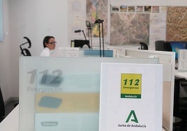 Un incendio de vegetación levanta una columna de humo en Huelva capital