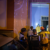 Rescatados cinco perros y dos aves rapaces en una vivienda en abandono en Tenerife