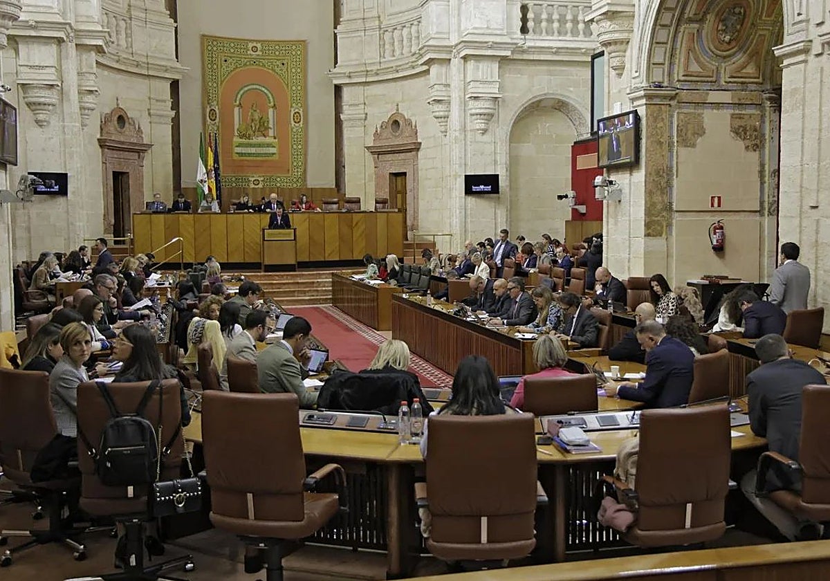 Una imagen del pleno del Parlamento