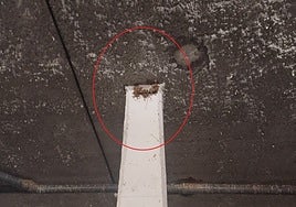 Un hombre se enfrenta a penas de prisión por destruir diez nidos de golondrina común en Recas