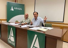 Asaja Ciudad Real pide abordar con directora provincial de Agricultura la situación de cabaña ganadera por lengua azul