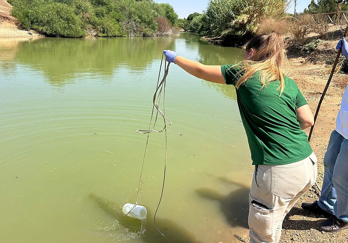 Toma de muestras de agua en el Parque del Tamarguillo de Sevilla, el primer foco detectado