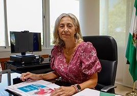 Rocío Hernández Soto, consejera de Salud : «Hemos pasado de no conseguir ninguna cita a tener una en un día»