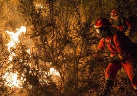 Galicia pedirá una base estable de la UME y que se destinen fondos europeos a la lucha y prevención de los incendios forestales