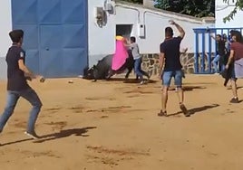 Un joven herido grave al recibir tres cornadas en el segundo encierro de las fiestas de Mocejón