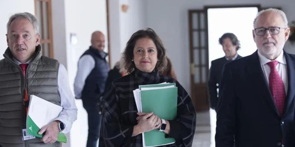Carolina España sobre la citación de los gerentes del SAS: «Los contratos salvaron vidas»