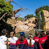 Bioparc Valencia presenta su oferta escolar para el curso 2025-2026