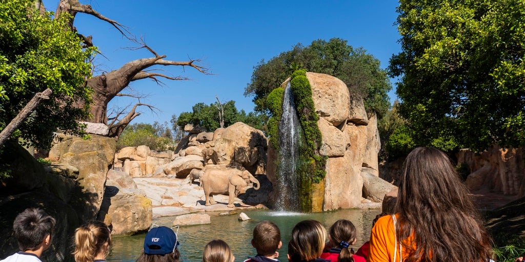 Bioparc Valencia presenta su oferta escolar para el curso 2025-2026