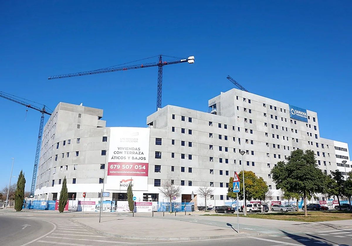 La futura ley posibilitará la construcción de 40.000 viviendas en Andalucía