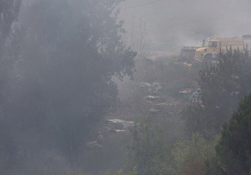 Investigado un apicultor como presunto autor de un incendio forestal en Toral de Fondo (León)