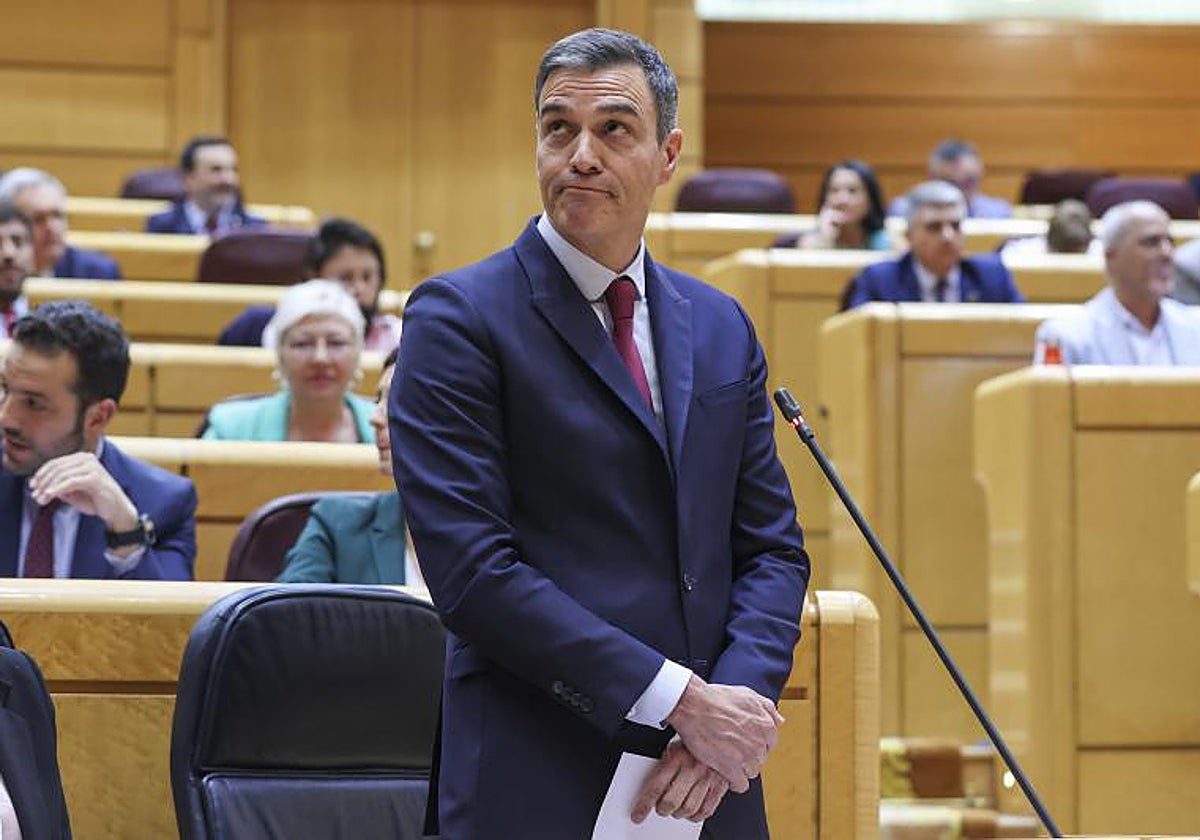 Sánchez en el pleno del Senado