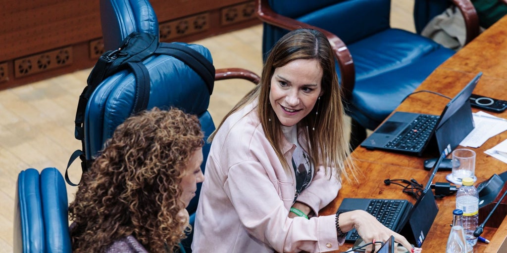 Vox critica que «los madrileños creen tener impuestos nórdicos y servicios tercermundistas»