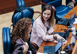 Vox critica que «los madrileños creen tener impuestos nórdicos y servicios tercermundistas»