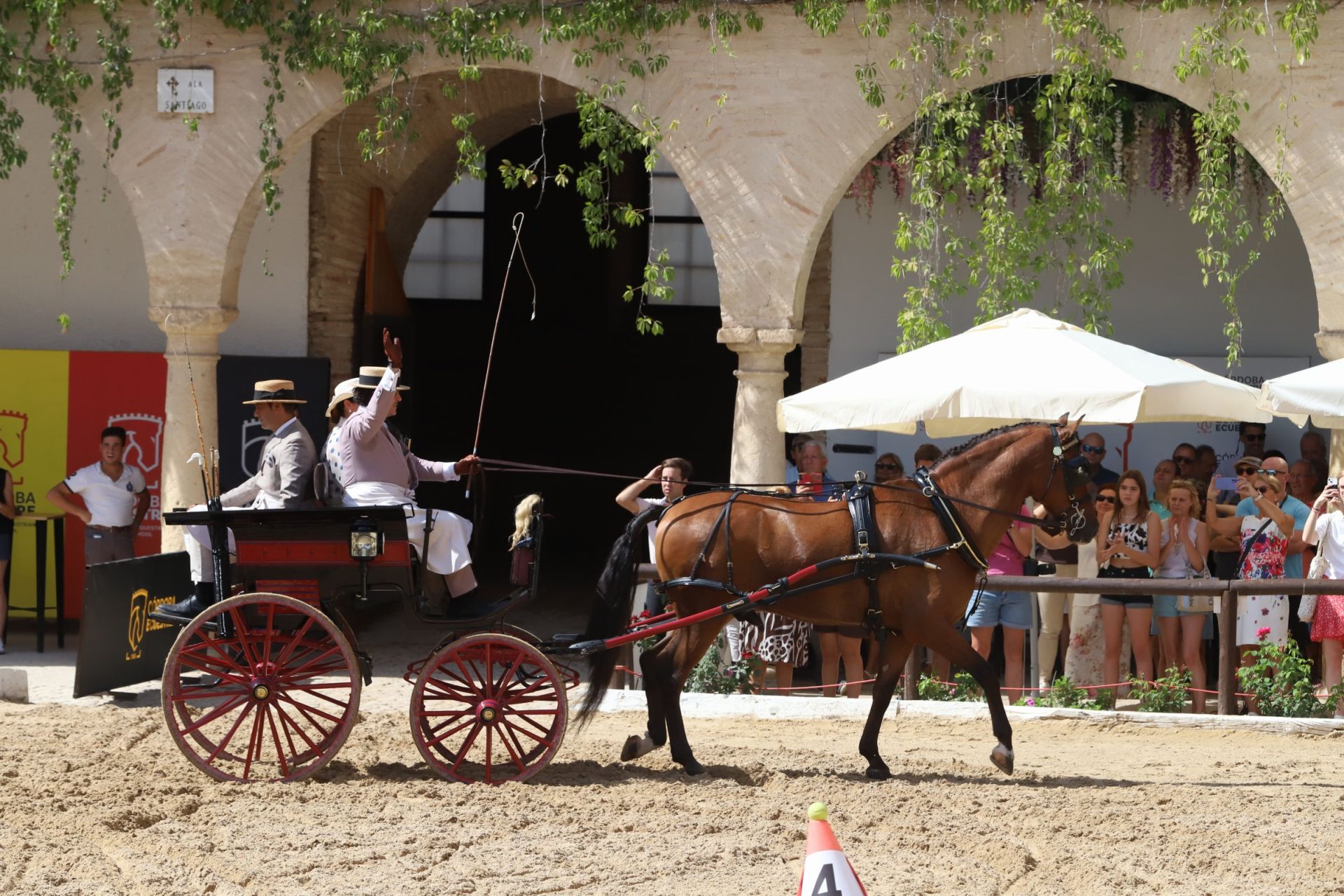 En imágenes, el X Concurso Internacional de Atalaje de Tradición en Córdoba