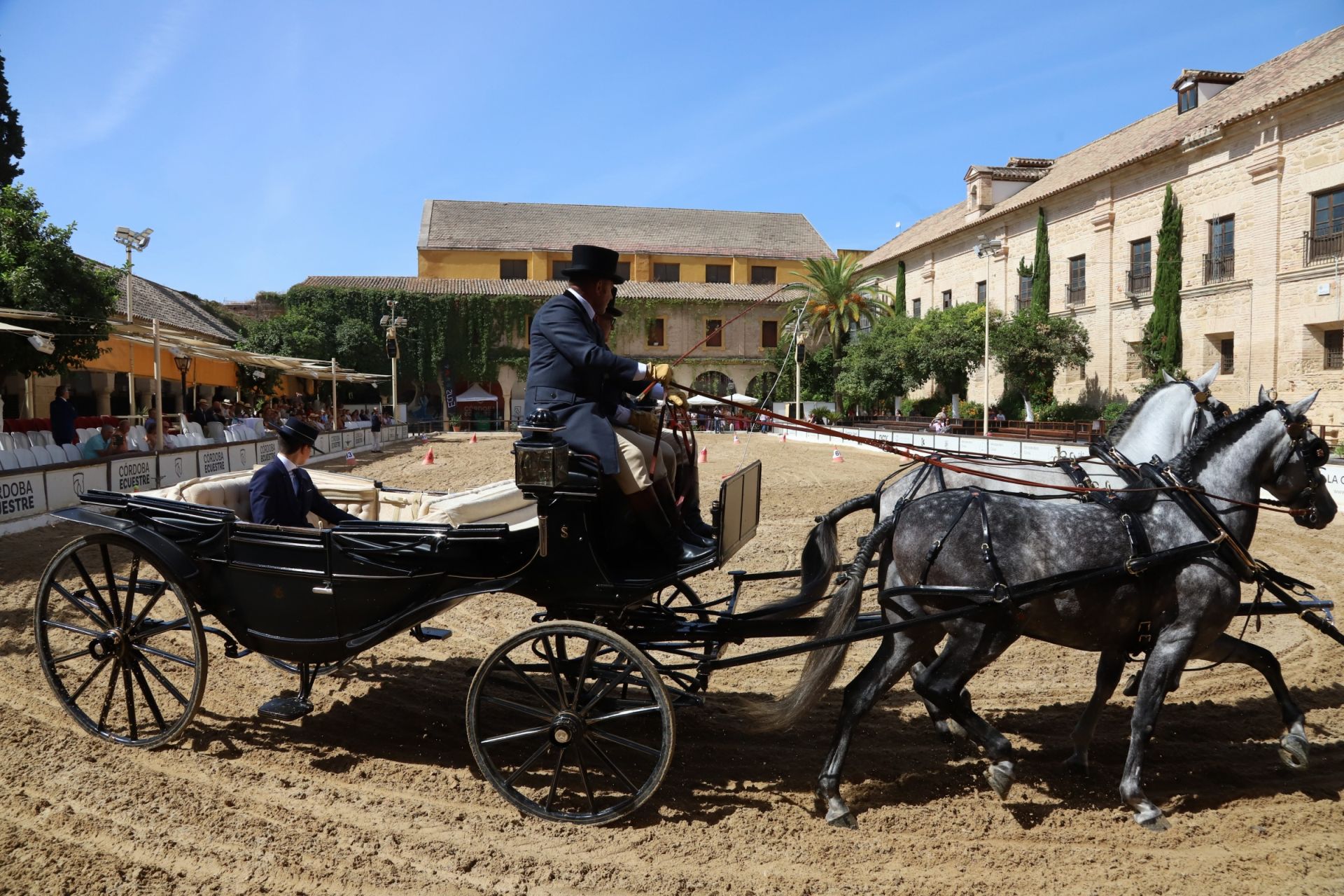 En imágenes, el X Concurso Internacional de Atalaje de Tradición en Córdoba