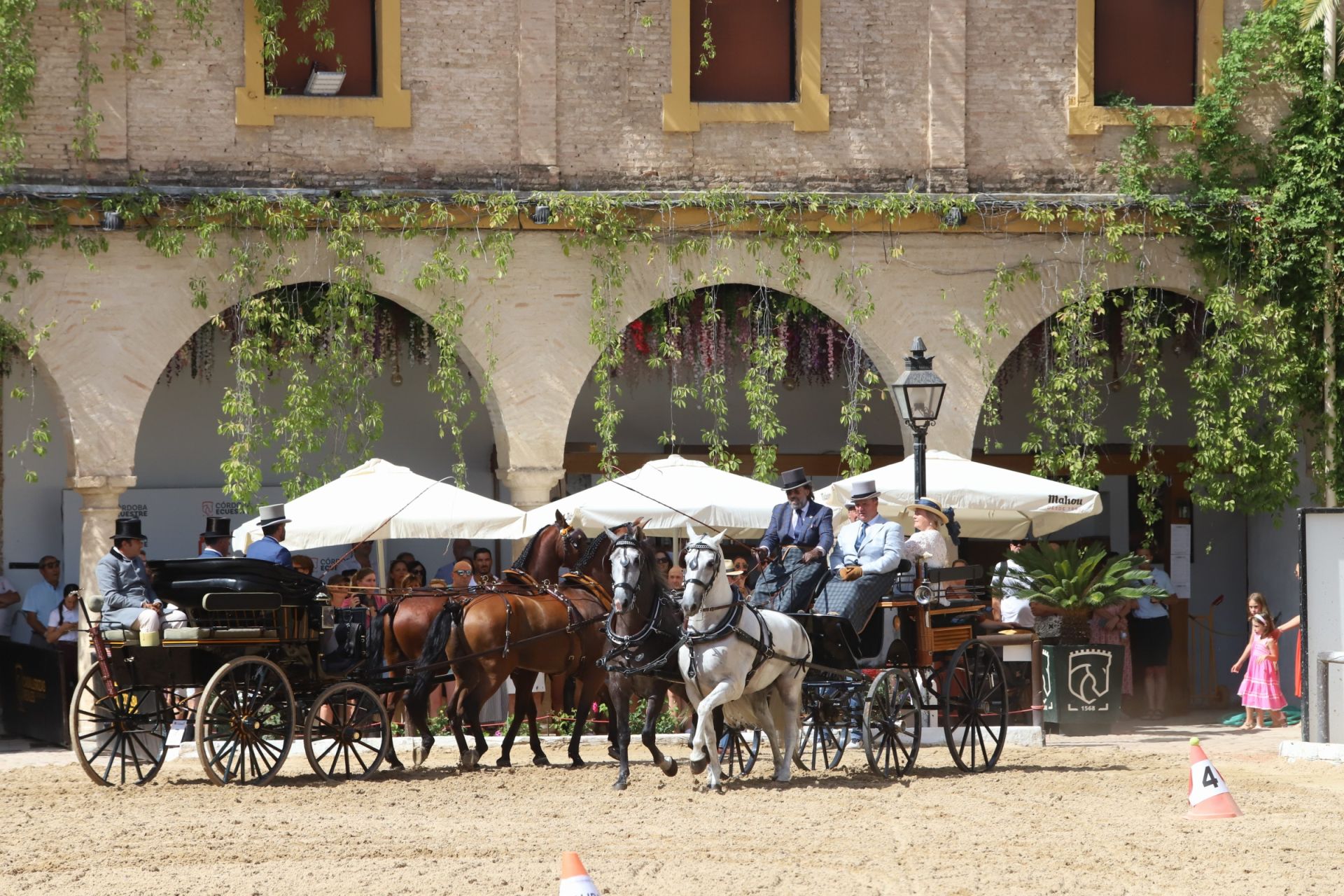 En imágenes, el X Concurso Internacional de Atalaje de Tradición en Córdoba