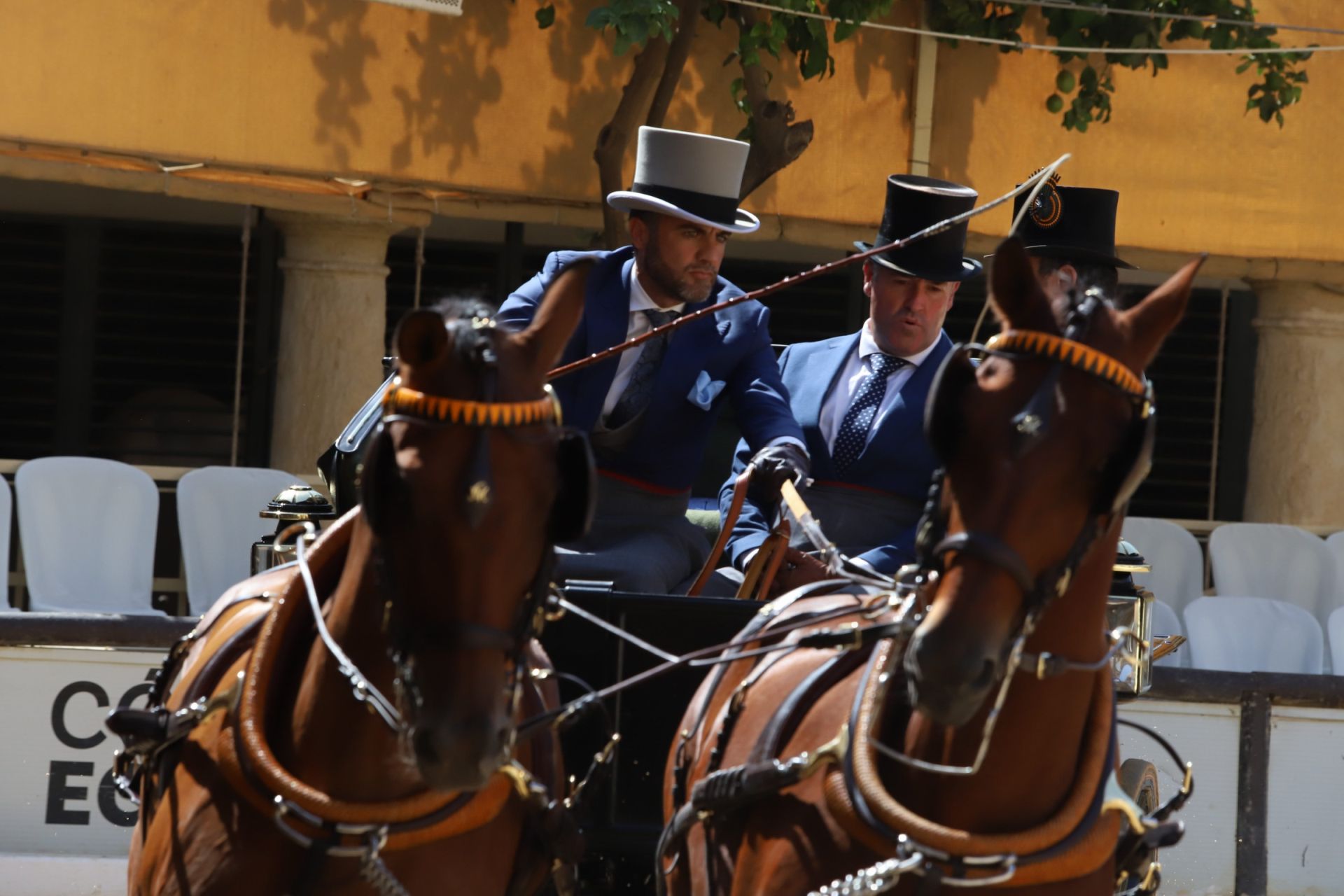 En imágenes, el X Concurso Internacional de Atalaje de Tradición en Córdoba