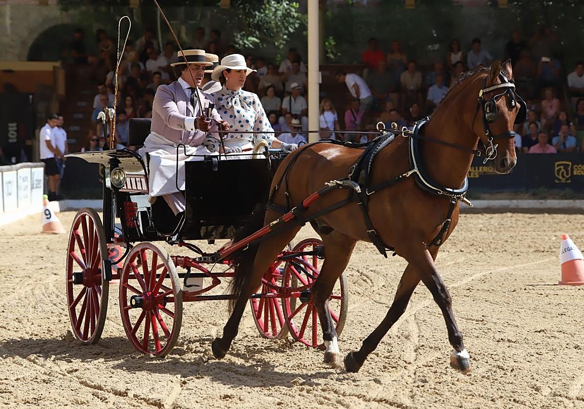 En imágenes, el X Concurso Internacional de Atalaje de Tradición en Córdoba