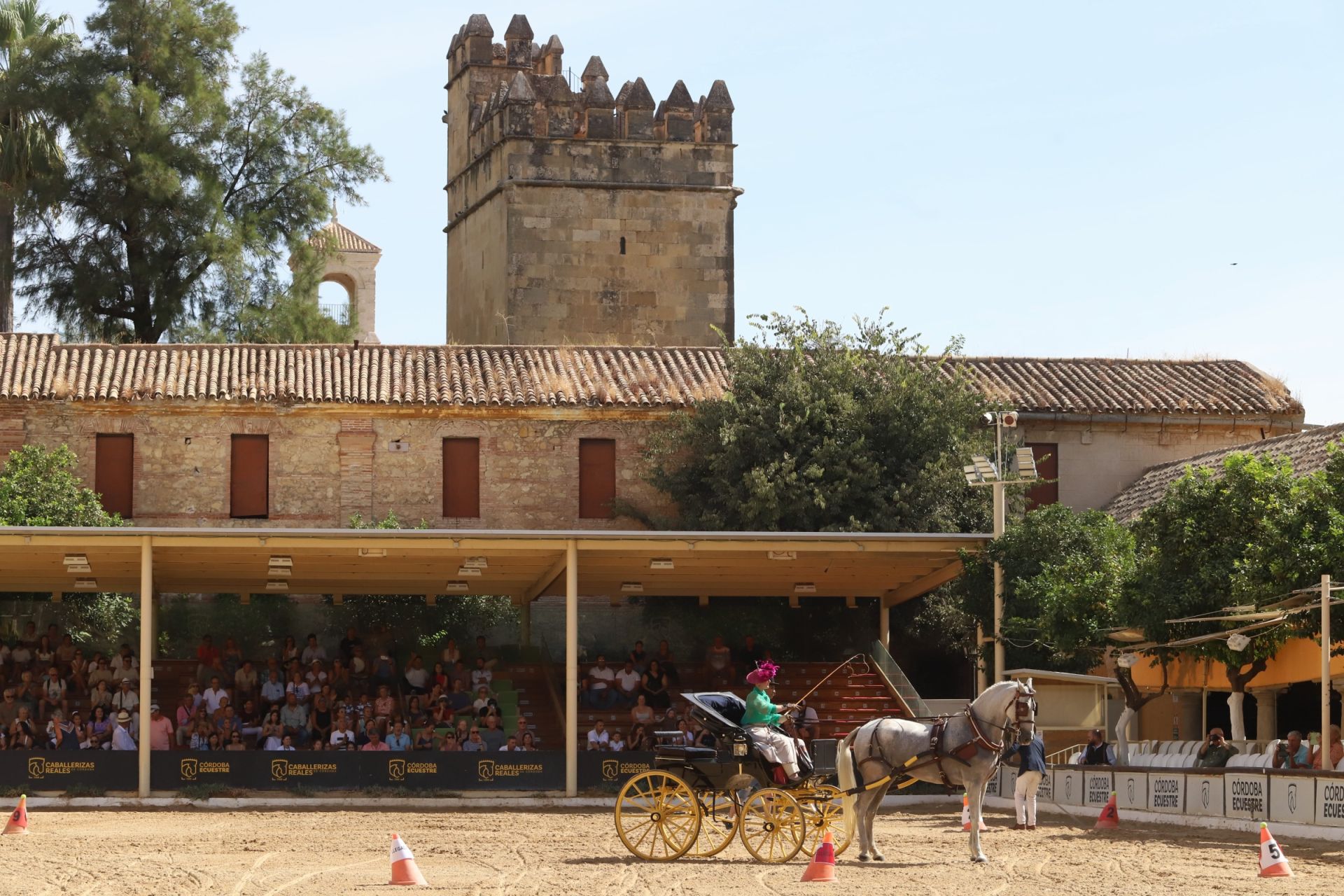En imágenes, el X Concurso Internacional de Atalaje de Tradición en Córdoba