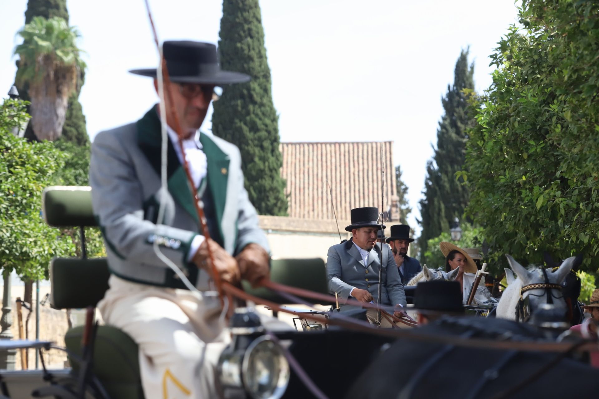 En imágenes, el X Concurso Internacional de Atalaje de Tradición en Córdoba