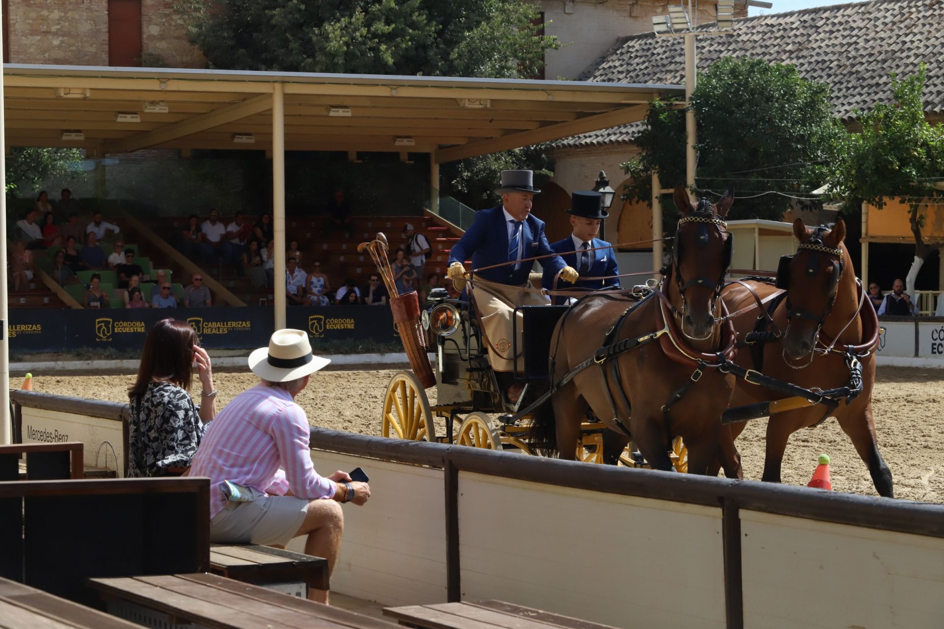 En imágenes, el X Concurso Internacional de Atalaje de Tradición en Córdoba