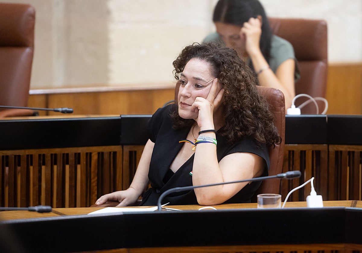 Inmaculada Nieto, portavoz de Por Andalucía