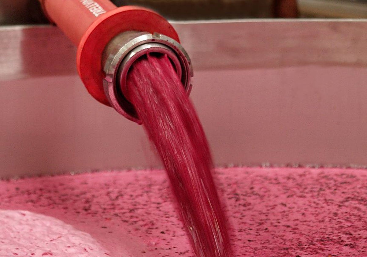 AIVE pide a las Administraciones que intervengan para evitar la venta a pérdidas en el sector del vino