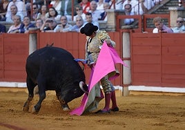 Toros: el festejo para el Día de la Hispanidad en Córdoba 'pincha' y busca fecha en el calendario