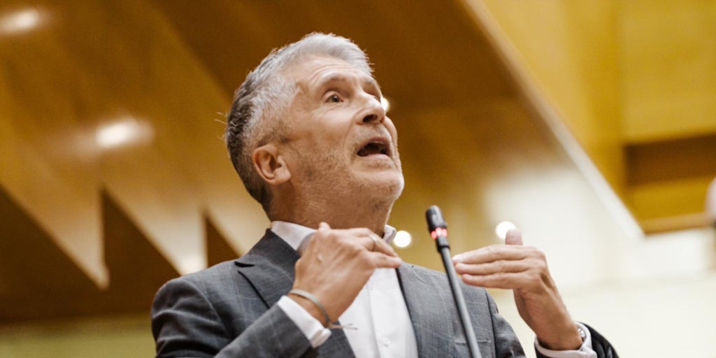 Marlaska defiende en el Senado un aumento de la presión contra el narco en Andalucía