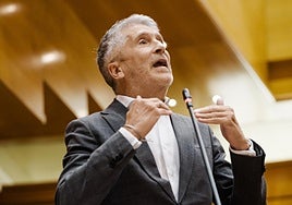 Marlaska defiende en el Senado un aumento de la presión contra el narco en Andalucía