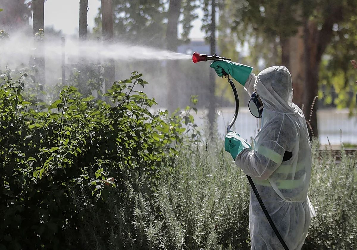 Fumigación para evitar el contagio del virus del Nilo en Andalucía