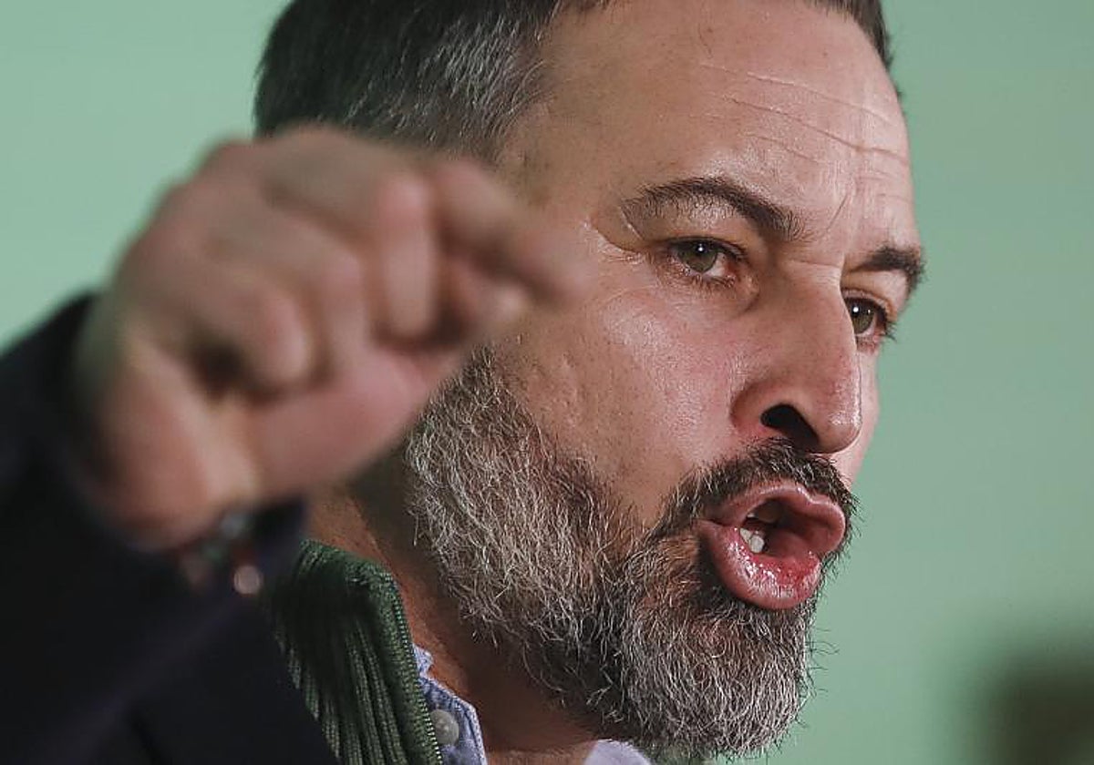 El líder de Vox y diputado Santiago Abascal