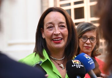 Aragón cree que convocar la Sectorial de Infancia por email denota «falta de voluntad de escuchar a las CCAA»