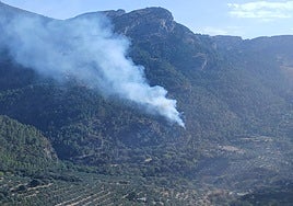 Registrado un incendio forestal en la Sierra de Cazorla en alerta por riesgo extremo