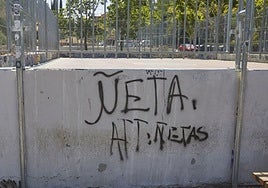 Menores delincuentes: hay más  inimputables y se disparan las agresiones sexuales y las lesiones de bandas latinas