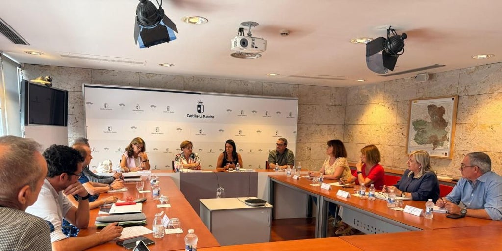 Nueva reunión con la Mesa del Tercer Sector, un espacio de diálogo sobre la inclusión social en Castilla-La Mancha