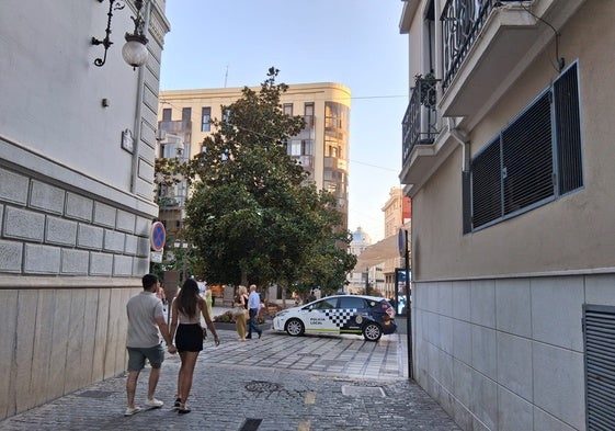 Un vehículo de la Policía Local junto al ayuntamiento de Granada