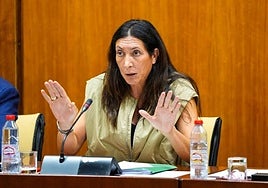 La Junta defiende que Andalucía «bate récord» en dependencia y la oposición critica que «siguen muriendo sin recibir ayuda»