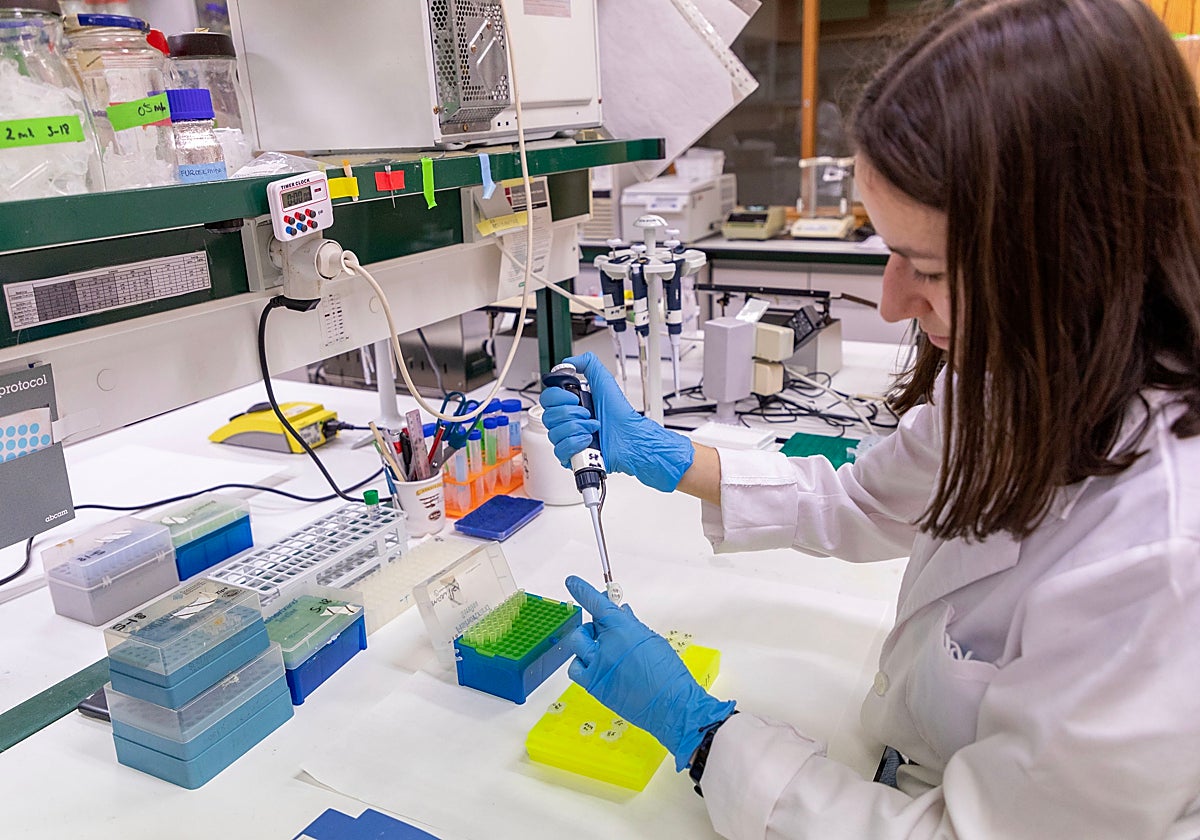 Una investigadora en el Centro de Investigación del Cáncer de Salamanca, en una imagen de archivo