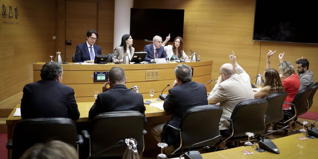 La comisión sobre la dana en las Cortes Valencianas se reanudará con técnicos y sin fechas para víctimas o políticos
