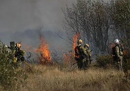 El incendio de Pantón (Lugo) avanza «sin control» con 700 hectáreas calcinadas