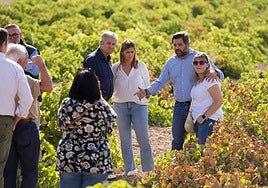 El PP denuncia que los  agricultores están «al borde del colapso» por la falta de apoyo y la 'persecución' en Castilla-La Mancha