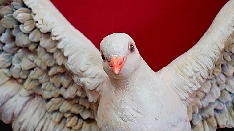 Detalle de la paloma que estará en el camarín del Socorro